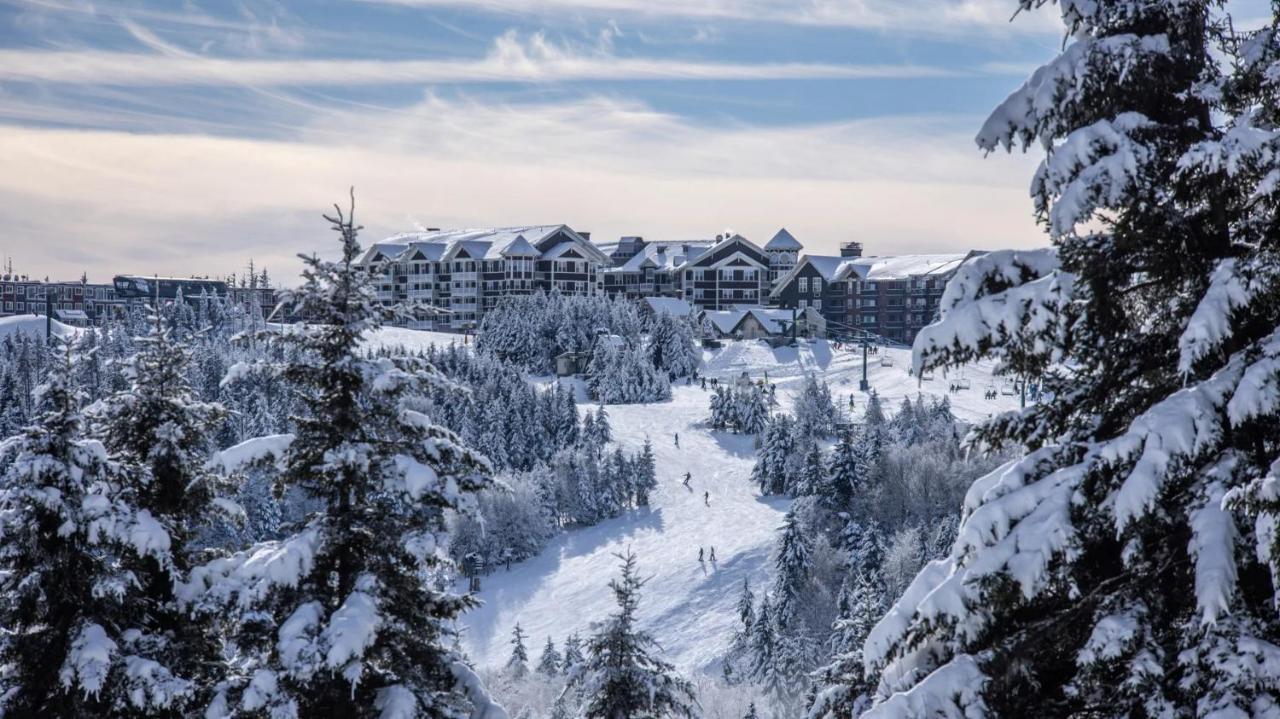 Snowshoe Ski-In & Ski-Out At Silvercreek Resort - Family Friendly, Jacuzzi, Hot Tub, Mountain Views Exterior foto