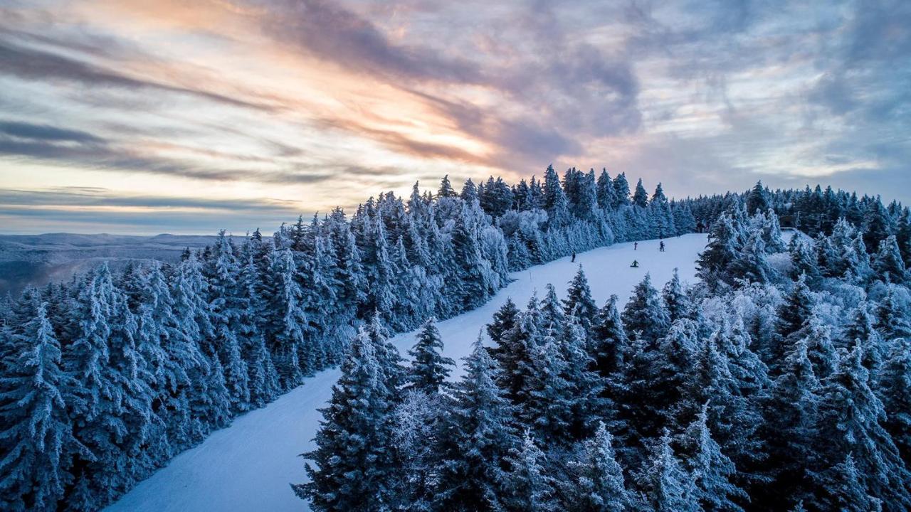 Snowshoe Ski-In & Ski-Out At Silvercreek Resort - Family Friendly, Jacuzzi, Hot Tub, Mountain Views Exterior foto